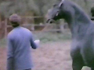 La Perdizione aka Marina's Animals (1986)