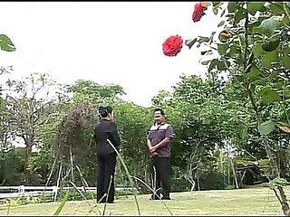 phisao taihong.2011